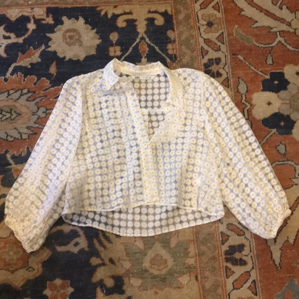 Zara Crop Top
